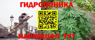 тгк Ипатово