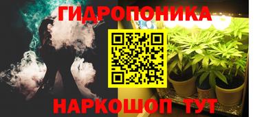 шишки Ирбит