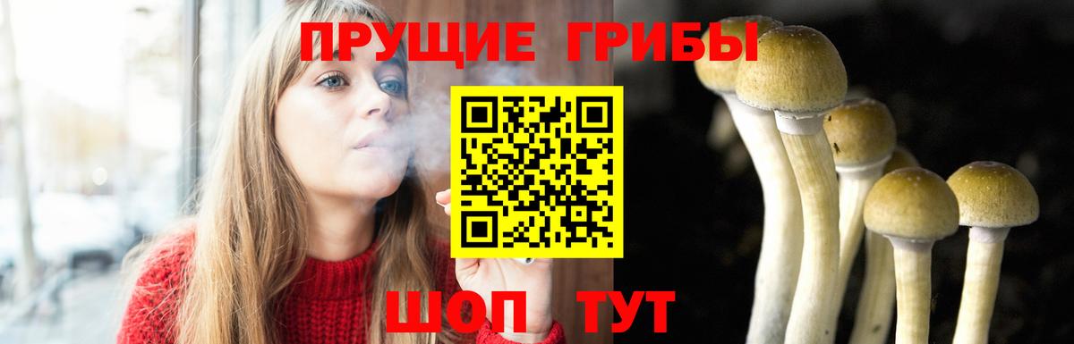 Мегион  Галлюциногенные грибы Psilocybe  продажа наркотиков  Вход с VPN  Галлюциногенные грибы Magic Shrooms 